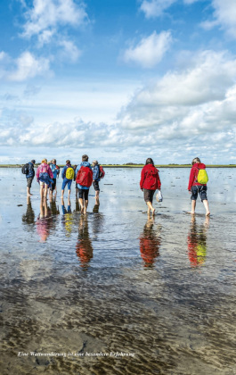 TRESCHER Reiseführer Nordfriesland