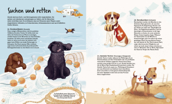In 80 Hunden um die Welt