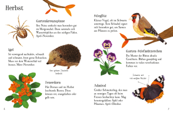 Usborne Minis Naturführer: Im Garten