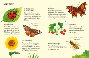 Usborne Minis Naturführer: Im Garten