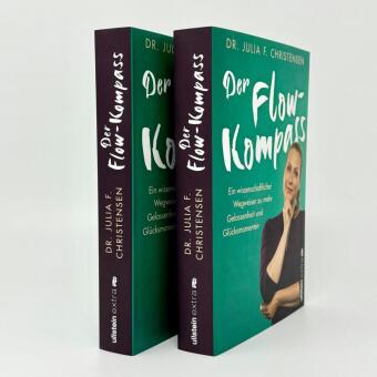 Der Flow-Kompass