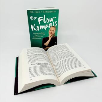 Der Flow-Kompass
