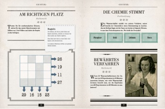 Einsteins Rätselbuch - Logikrätsel für geniale Köpfe