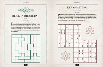 Einsteins Rätselbuch - Logikrätsel für geniale Köpfe