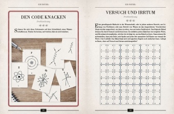 Einsteins Rätselbuch - Logikrätsel für geniale Köpfe