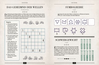 Einsteins Rätselbuch - Logikrätsel für geniale Köpfe