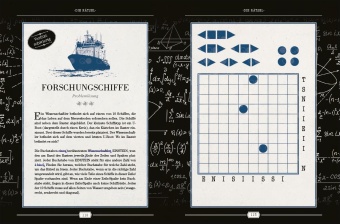 Einsteins Rätselbuch - Logikrätsel für geniale Köpfe
