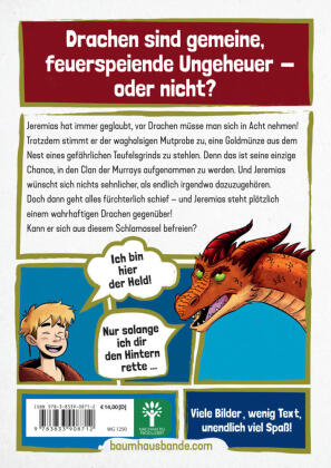 Die geheime Drachenschule - Feuerschattens erster Reiter