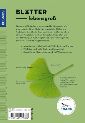 Bäume am Blatt erkennen - 78 Laub- und Nadelgehölze. Blätter in Originalgröße