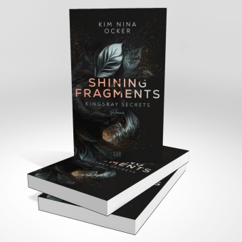 Shining Fragments