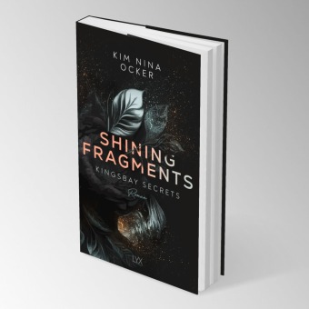 Shining Fragments