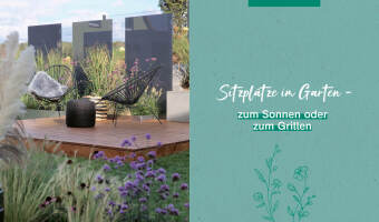 Duell der Gartenprofis - Gestalte deinen Traumgarten - Das Buch zur Gartensendung im ZDF