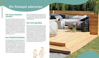 Duell der Gartenprofis - Gestalte deinen Traumgarten - Das Buch zur Gartensendung im ZDF