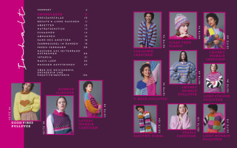Colour Blocking - Das Strickbuch