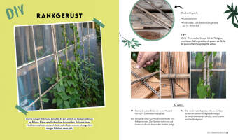 Keine Zeit zu gärtnern - Easy Ernteglück im Hochbeet