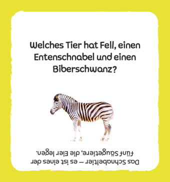 Kartenbox: Das große Quiz - Tiere