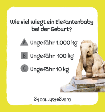Kartenbox: Das große Quiz - Tiere