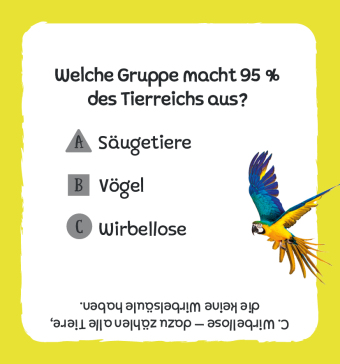 Kartenbox: Das große Quiz - Tiere