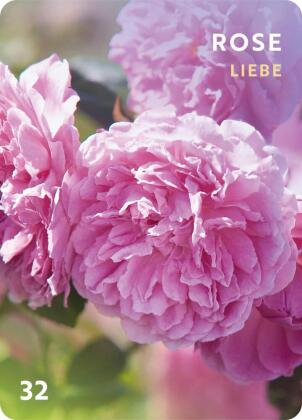 Düfte für die Seele
