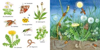Mein kleines buntes Bildwörterbuch: Krabbeltiere und Blümchen