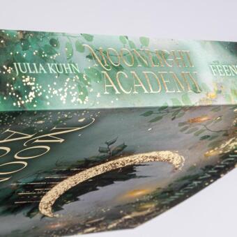 Moonlight Academy. Feenzauber