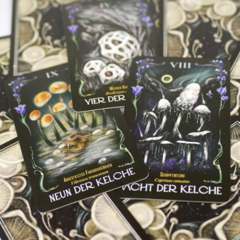 Mitternachtsmagie der Pilze