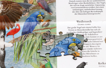 In 50 Vögeln um die Welt