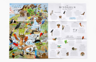 In 50 Vögeln um die Welt
