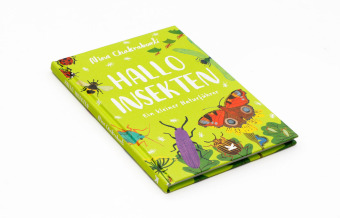 Hallo Insekten
