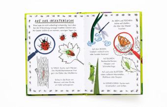 Hallo Insekten