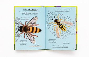 Hallo Insekten