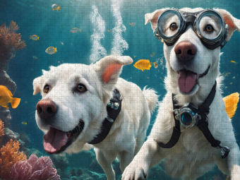 CALVENDO Puzzle Hunde mit Schwimmbrille beim Unterwasserabenteuer | 1000 Teile Lege-Größe 64x48cm Foto-Puzzle für glückliche Stunden