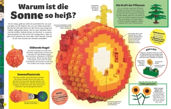 LEGO® Entdecke die Erde