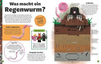 LEGO® Entdecke die Erde