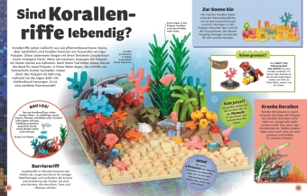 LEGO® Entdecke die Erde