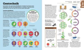 #dkinfografik. Biologie einfach erklärt