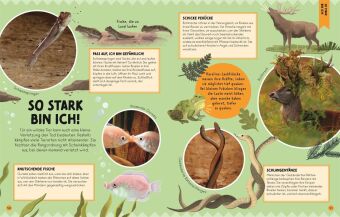 Die Sprache der Tiere