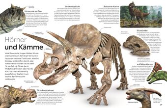 memo Wissen. Dinosaurier