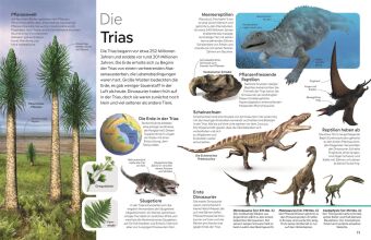 memo Wissen. Dinosaurier