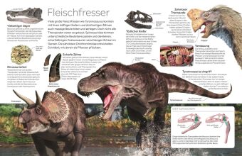 memo Wissen. Dinosaurier