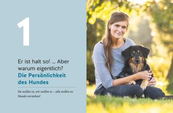 Wie ich meinen Hund endlich verstehe