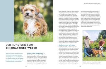 Wie ich meinen Hund endlich verstehe