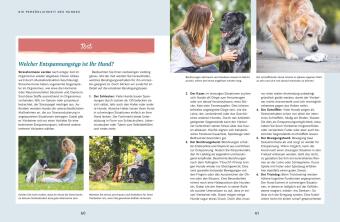 Wie ich meinen Hund endlich verstehe