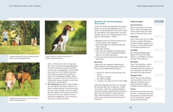 Wie ich meinen Hund endlich verstehe