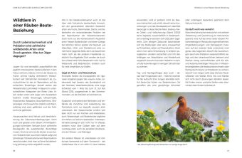 Das große BLV Handbuch Niederwild