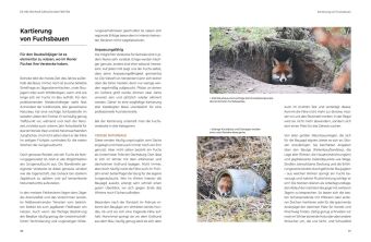Das große BLV Handbuch Niederwild