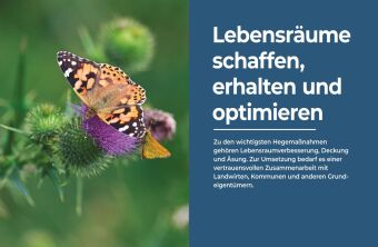 Das große BLV Handbuch Niederwild