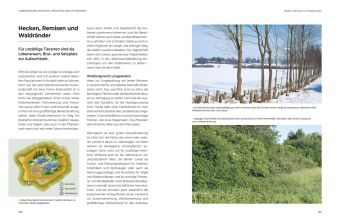 Das große BLV Handbuch Niederwild