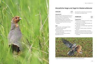 Das große BLV Handbuch Niederwild