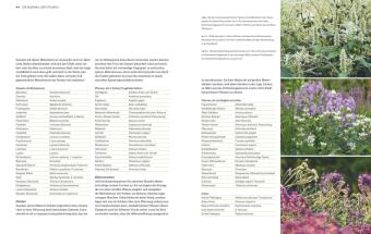 Immerblühende Beete 